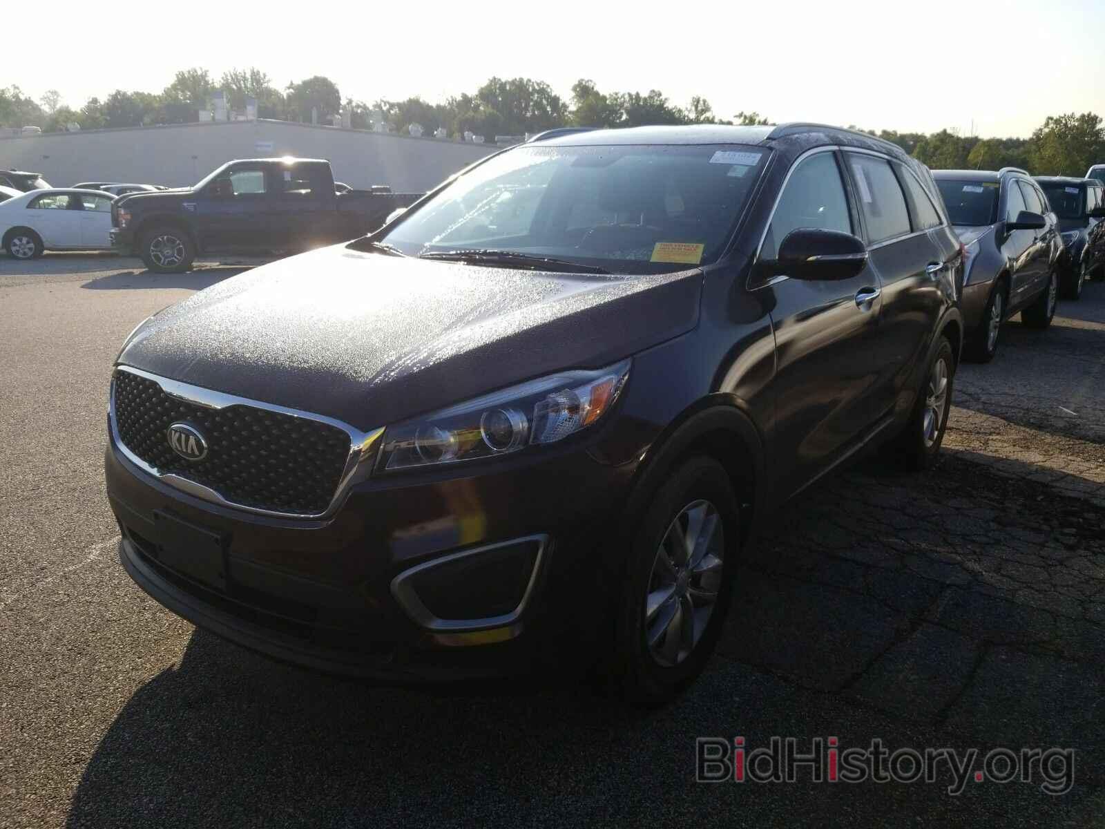 Фотография 5XYPGDA37GG078189 - Kia Sorento 2016