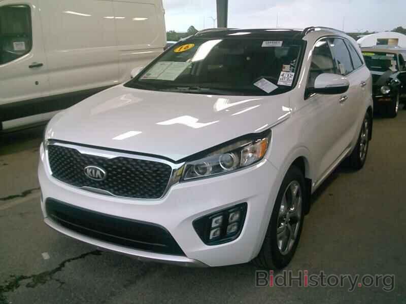 Photo 5XYPKDA53GG150859 - Kia Sorento 2016