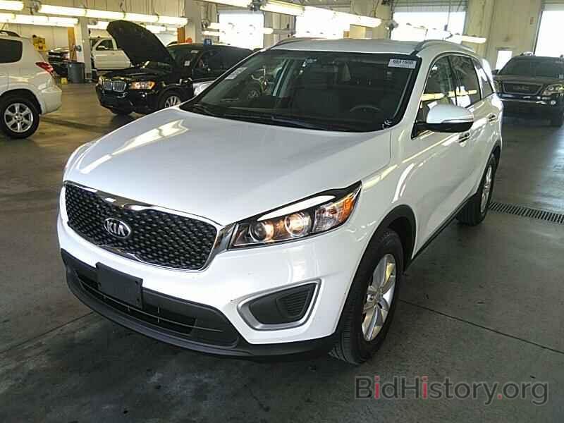 Photo 5XYPG4A57GG166628 - Kia Sorento 2016