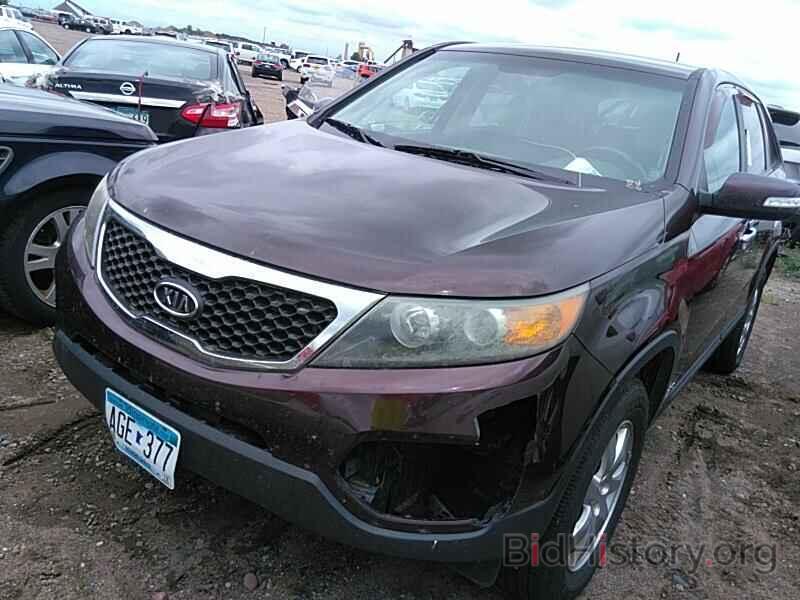 Фотография 5XYKTCA12BG071772 - Kia Sorento 2011