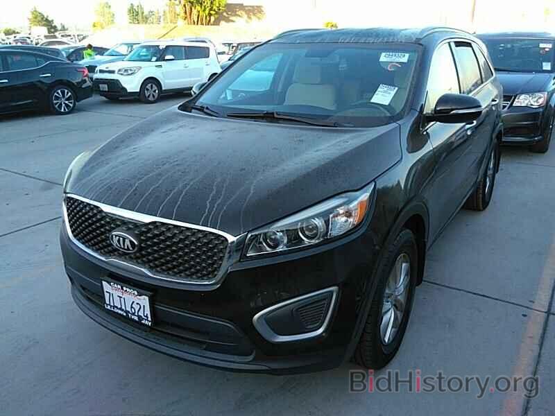 Photo 5XYPG4A39GG037935 - Kia Sorento 2016