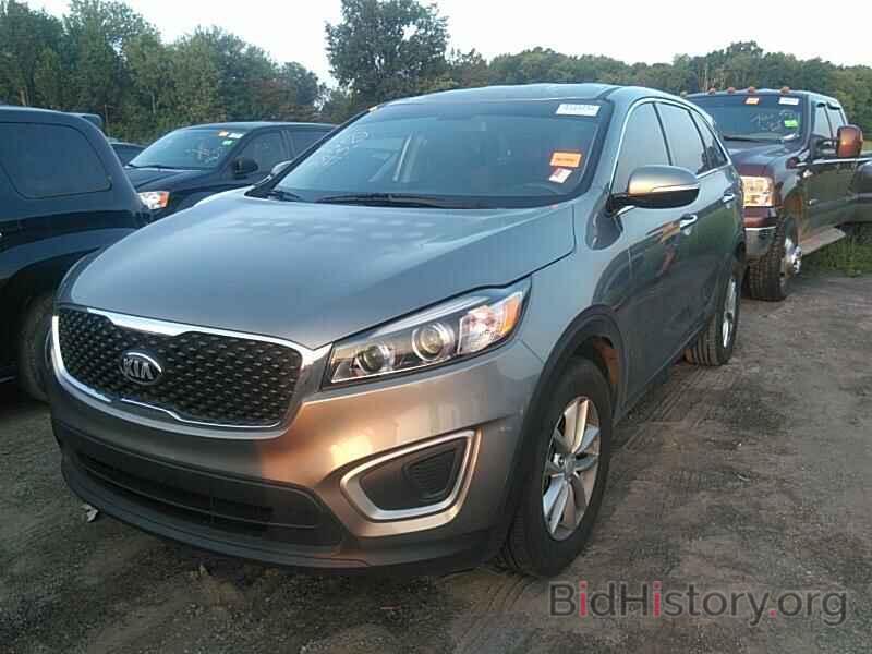 Photo 5XYPG4A36GG116897 - Kia Sorento 2016