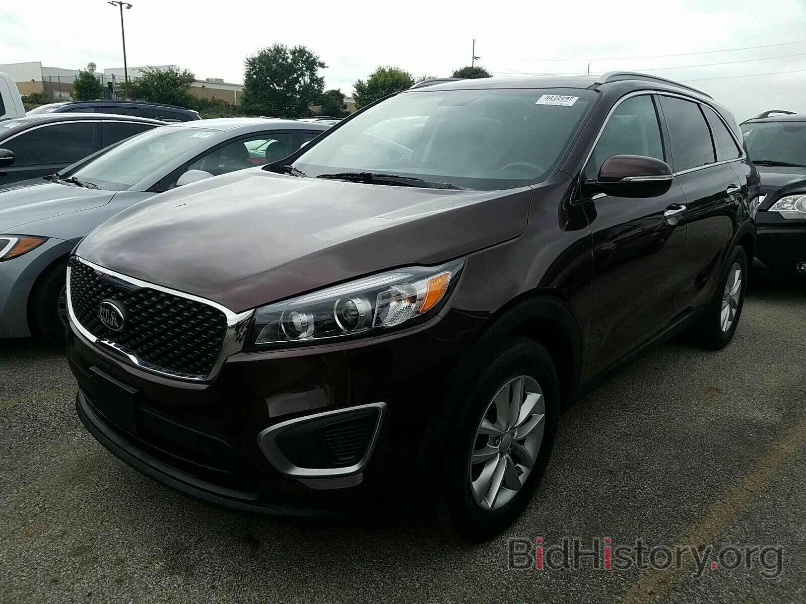 Photo 5XYPG4A35GG118740 - Kia Sorento 2016