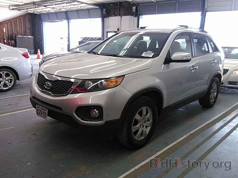 Фотография 5XYKT4A66DG346788 - Kia Sorento 2013