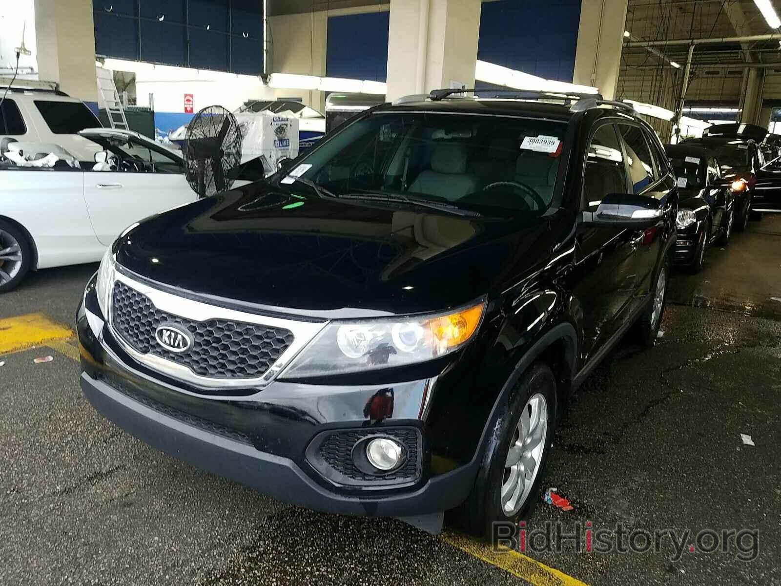 Фотография 5XYKT3A64DG315520 - Kia Sorento 2013