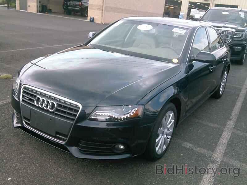 Photo WAUBFAFL2CN007549 - Audi A4 2012