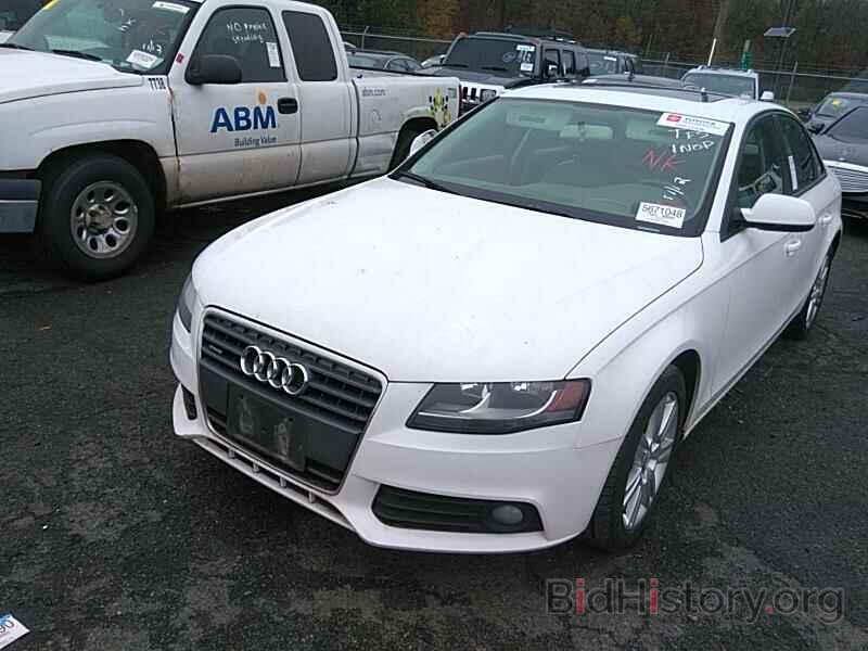 Photo WAUBFAFL8AN011814 - Audi A4 2010