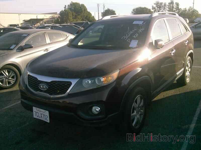 Фотография 5XYKT3A63DG360691 - Kia Sorento 2013