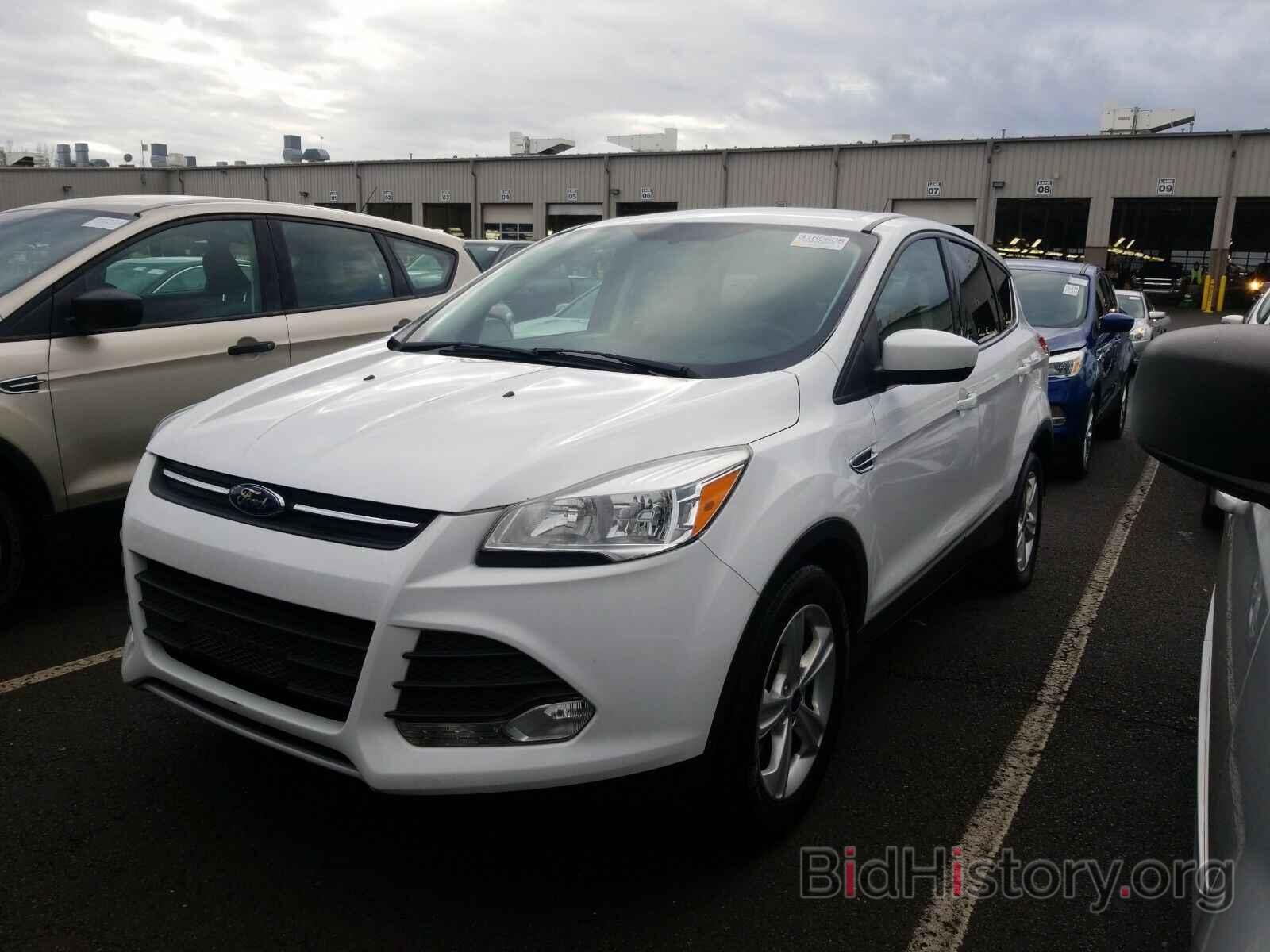 Photo 1FMCU0GX3EUD25936 - Ford Escape 2014