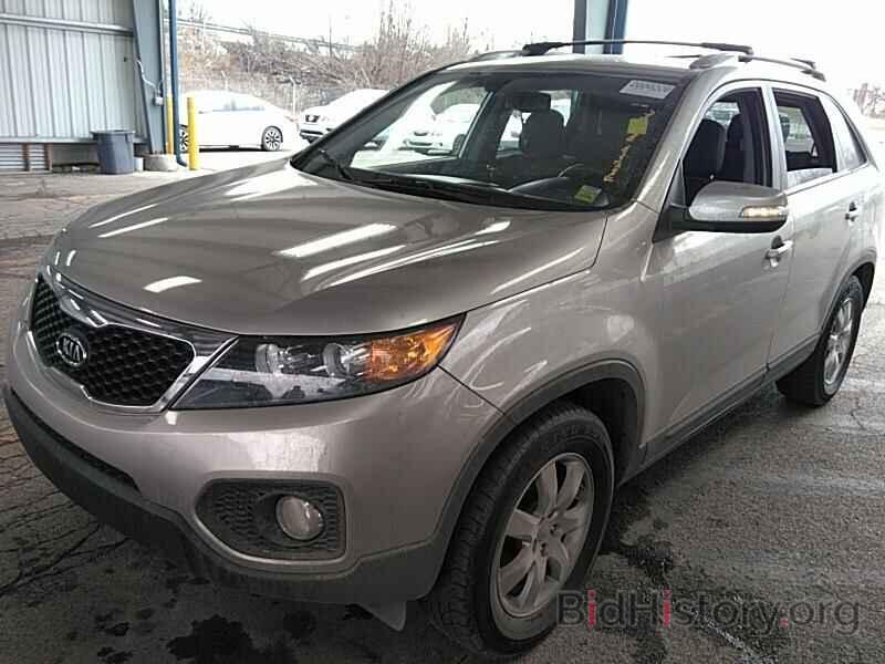 Фотография 5XYKT3A65DG409342 - Kia Sorento 2013