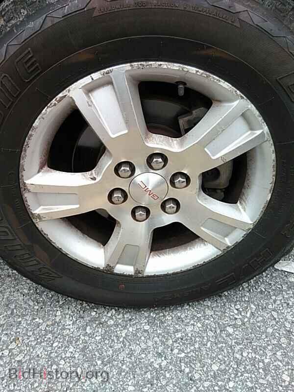 2009 GMC Acadia - VIN: 1GKEV23D69J145699 - Фото 8