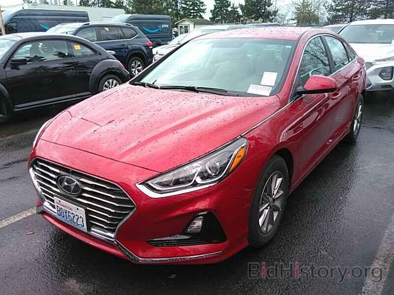 Photo 5NPE24AFXKH787233 - Hyundai Sonata 2019