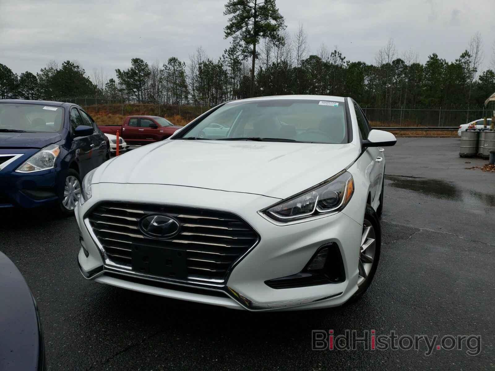 Photo 5NPE24AF3KH803059 - Hyundai Sonata 2019