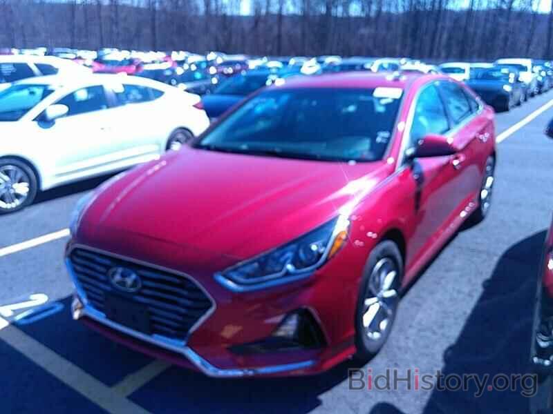 Photo 5NPE24AF4KH789933 - Hyundai Sonata 2019