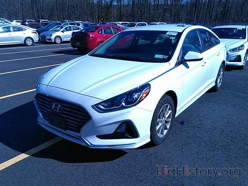 Photo 5NPE24AF2KH786772 - Hyundai Sonata 2019