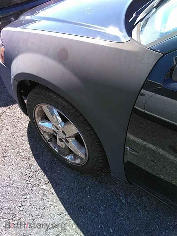 2010 Dodge Avenger - VIN: 1B3CC5FVXAN170344 - Фото 13