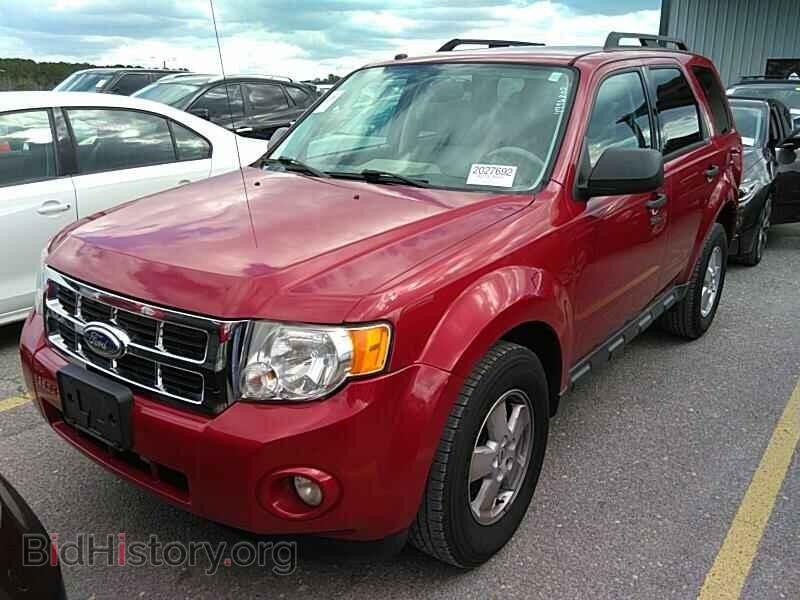 Фотография 1FMCU0DG7BKB53647 - Ford Escape 2011