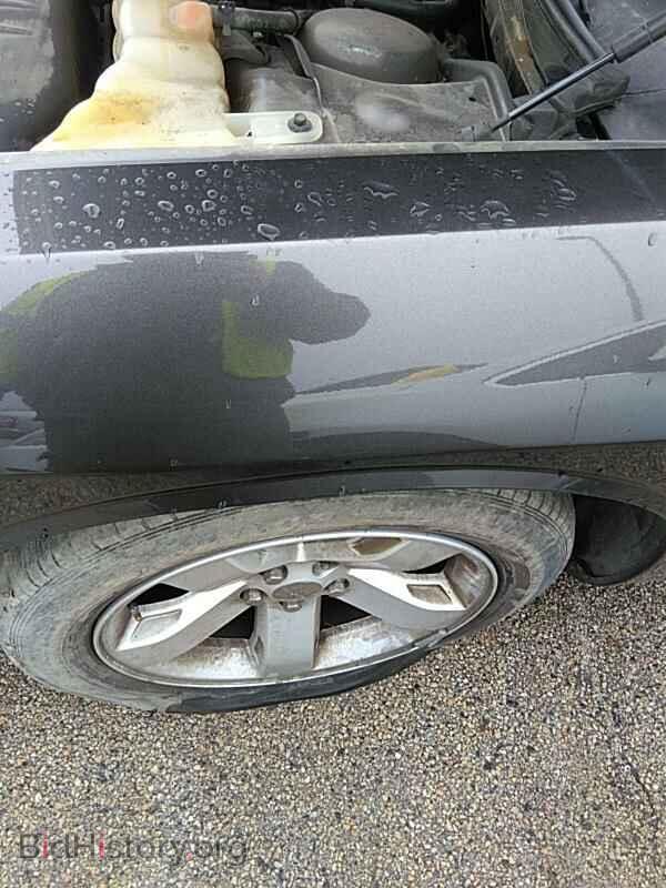 2014 Dodge Challenger - VIN: 2C3CDYAG7EH244943 - Фото 13