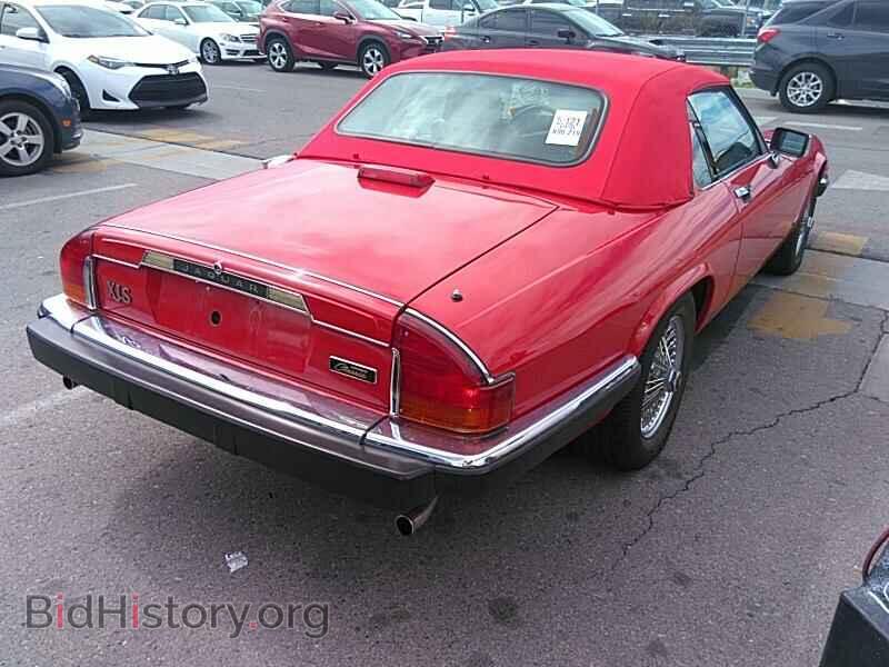 1990 Jaguar XJS - VIN: SAJTW4842LC175557 - Фото 2