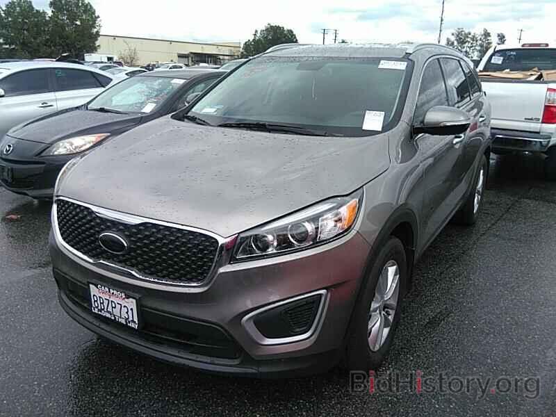 Photo 5XYPG4A38JG408879 - Kia Sorento 2018