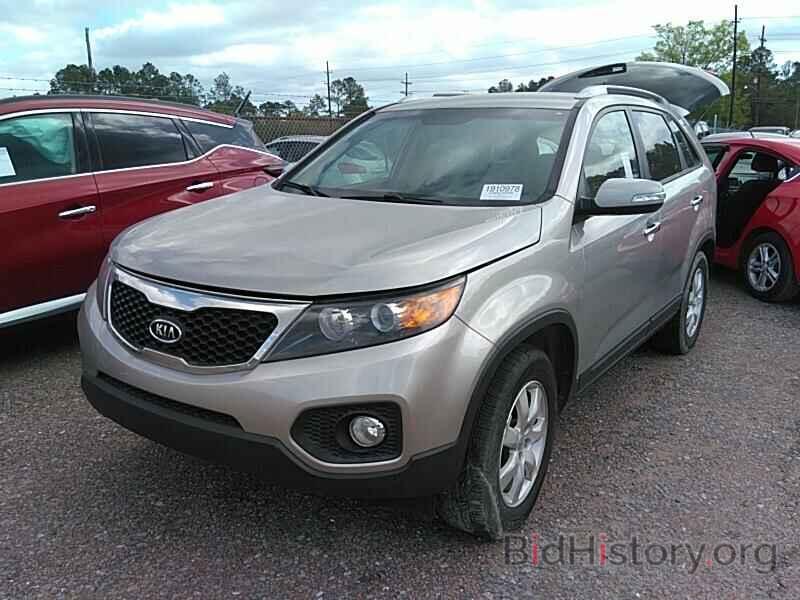 Фотография 5XYKT4A64DG391101 - Kia Sorento 2013