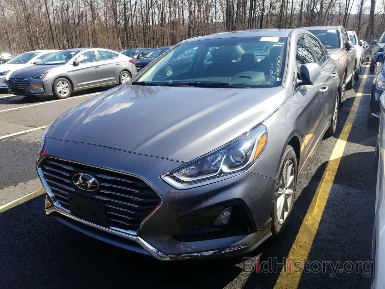 Photo 5NPE24AF5KH790380 - Hyundai Sonata 2019