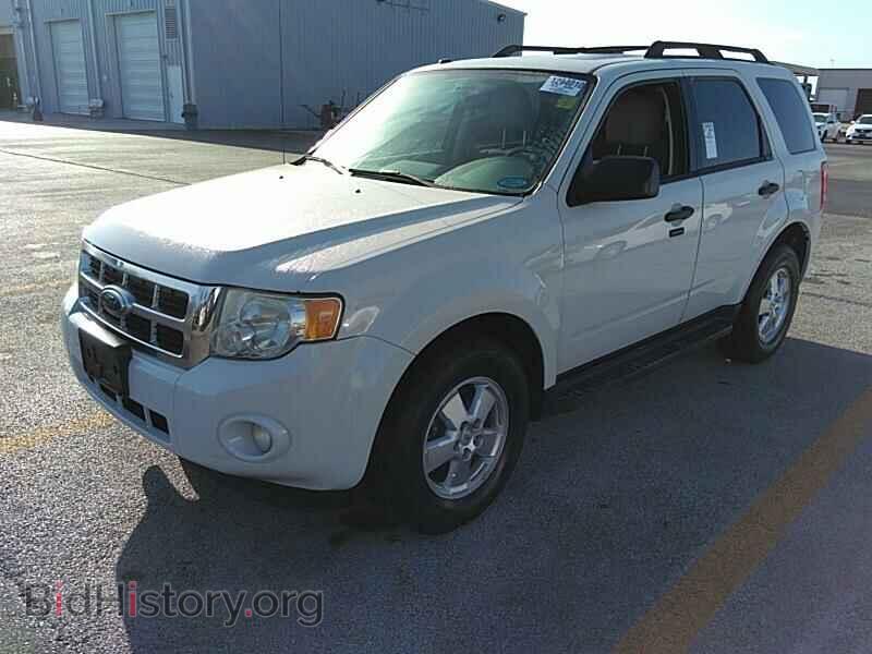 Фотография 1FMCU0DG4BKB19553 - Ford Escape 2011
