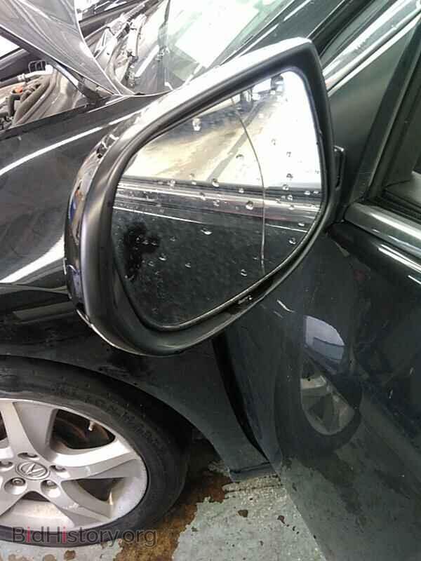 2012 Acura TSX - VIN: JH4CU2F41CC014272 - Фото 11