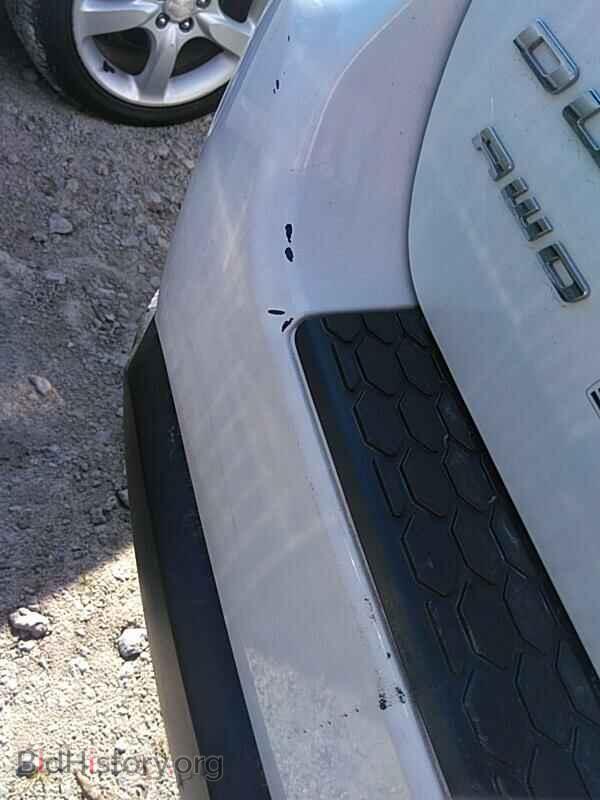 2014 Dodge Durango - VIN: 1C4RDJAG2EC591094 - Photo 13