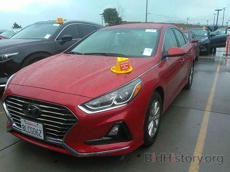 Photo 5NPE24AF8KH800576 - Hyundai Sonata 2019