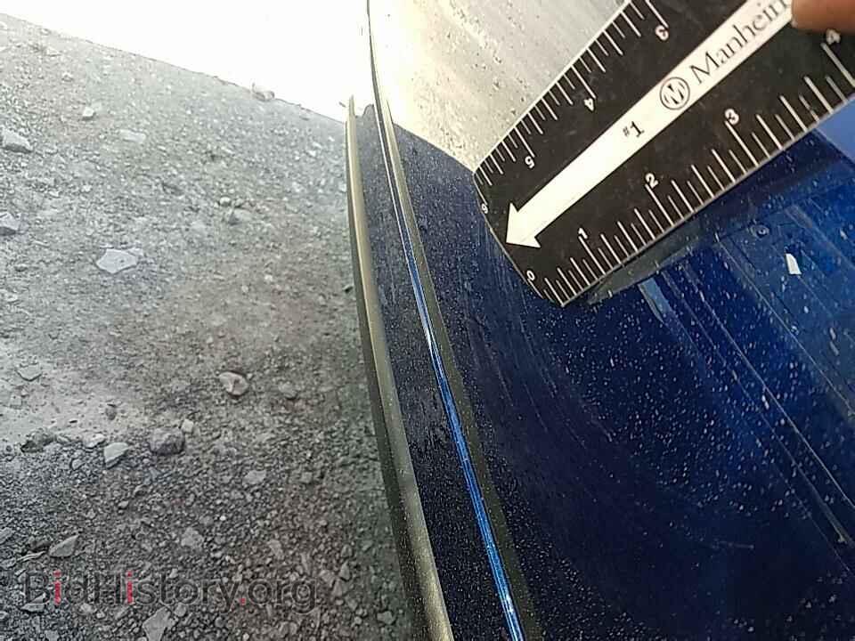 2017 Nissan Maxima - VIN: 1N4AA6AP9HC431789 - Фото 8