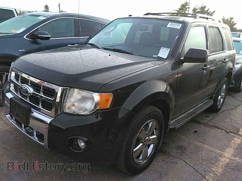 Фотография 1FMCU0EG1BKB11280 - Ford Escape 2011