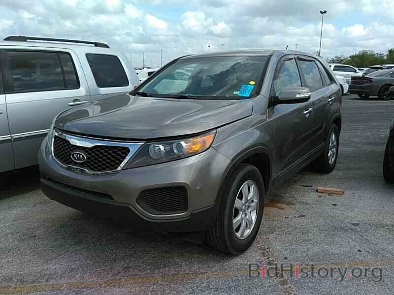 Фотография 5XYKT3A13DG342132 - Kia Sorento 2013