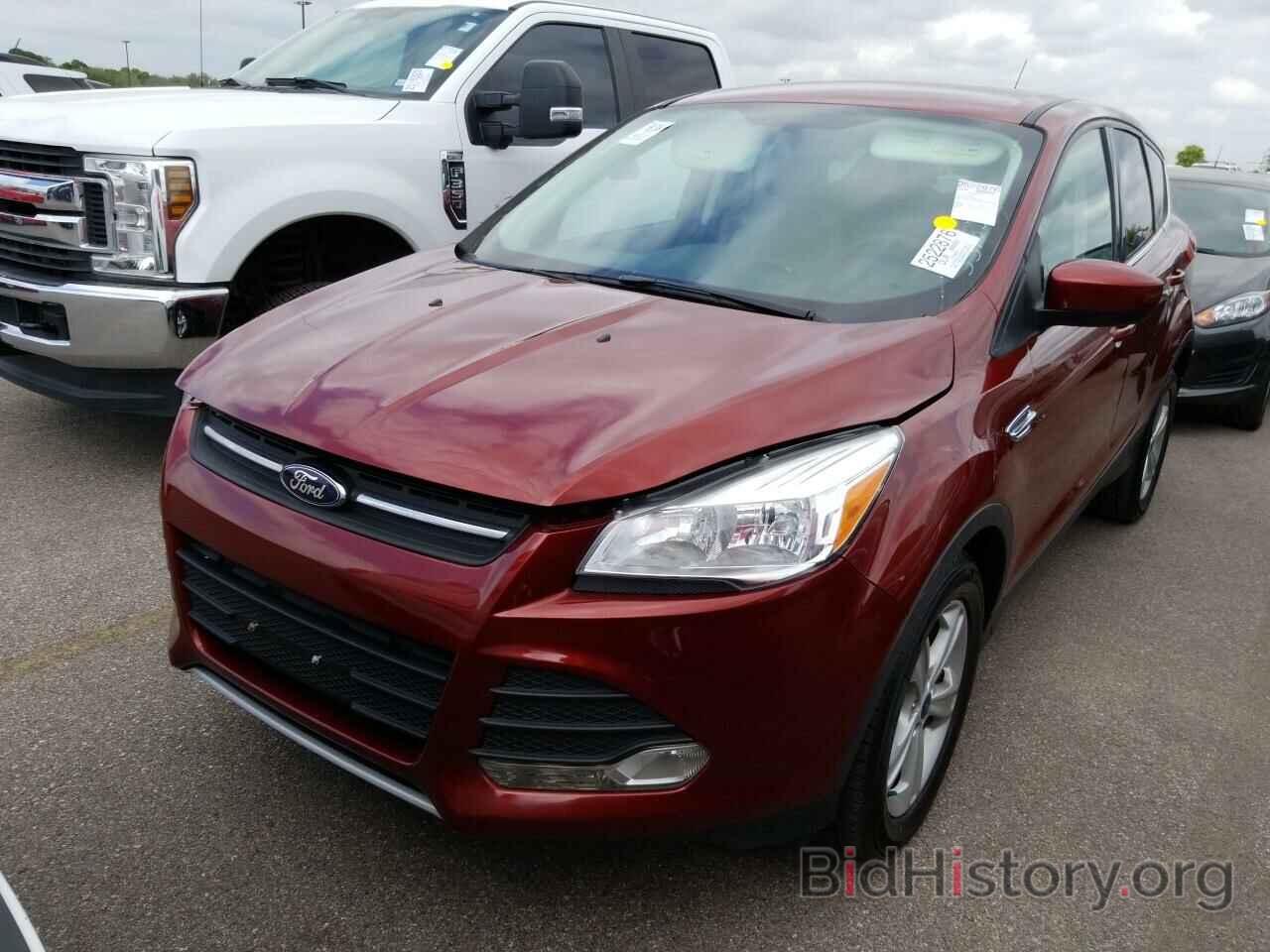 Фотография 1FMCU0GX2EUB73339 - Ford Escape 2014