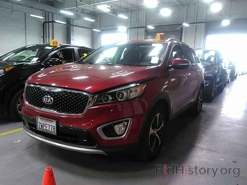 Фотография 5XYPH4A55HG292176 - Kia Sorento 2017