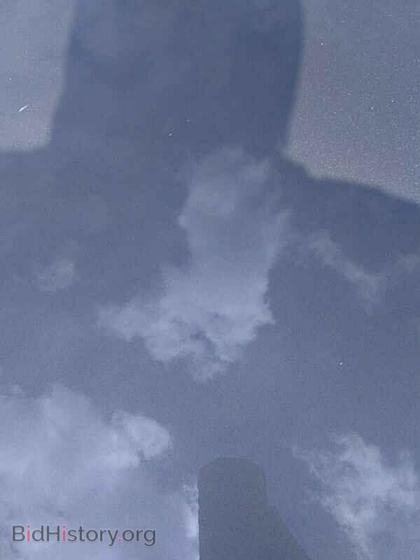 2015 Tesla Model S - VIN: 5YJSA1E13FF109561 - Фото 10