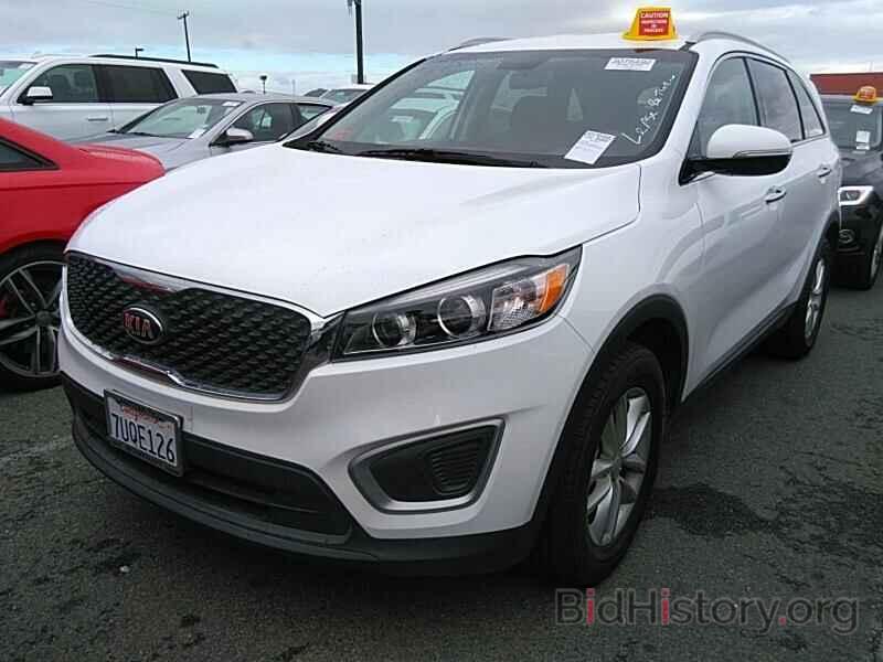 Photo 5XYPG4A35HG236403 - Kia Sorento 2017