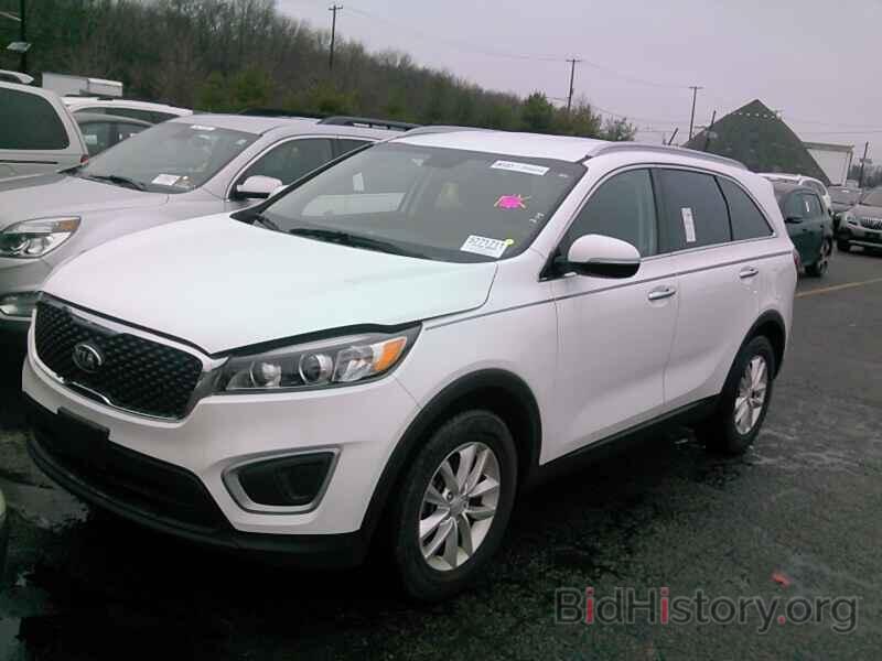 Photo 5XYPG4A38HG284588 - Kia Sorento 2017