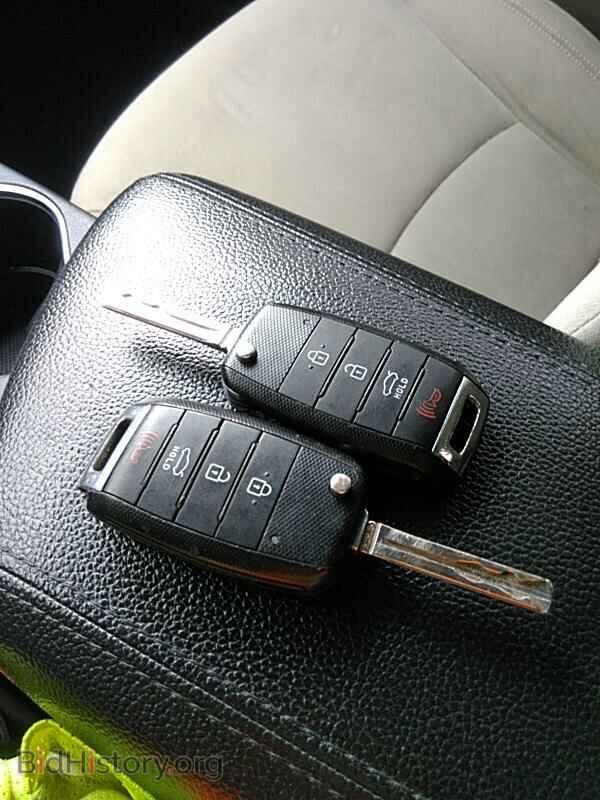 2015 Kia Optima - VIN: KNAGM4A72F5580446 - Photo 10
