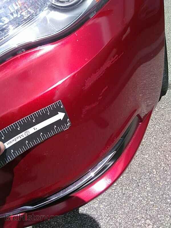 2012 Chrysler 200 - VIN: 1C3BCBFG3CN250649 - Photo 11
