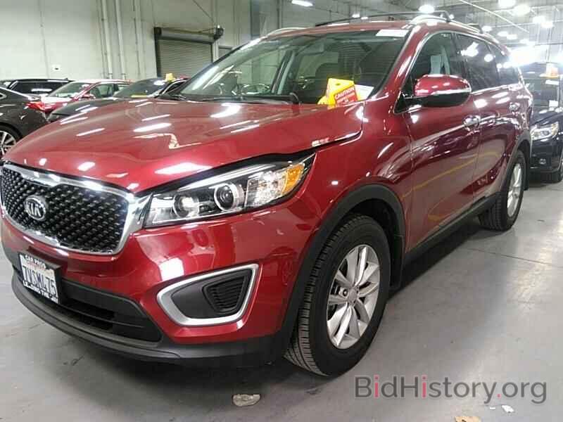 Photo 5XYPG4A36HG255719 - Kia Sorento 2017