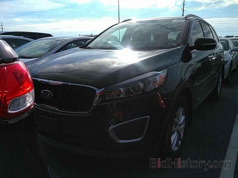 Фотография 5XYPGDA37HG324627 - Kia Sorento 2017