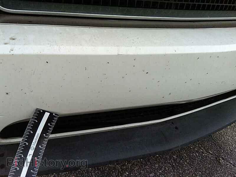 2013 Dodge Challenger - VIN: 2C3CDYAG4DH676100 - Photo 10