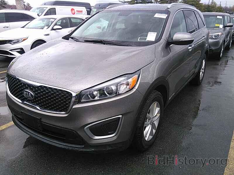 Photo 5XYPGDA59HG224854 - Kia Sorento 2017