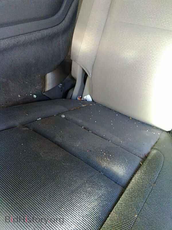 2011 Dodge Durango - VIN: 1D4RD4GG0BC716813 - Photo 14