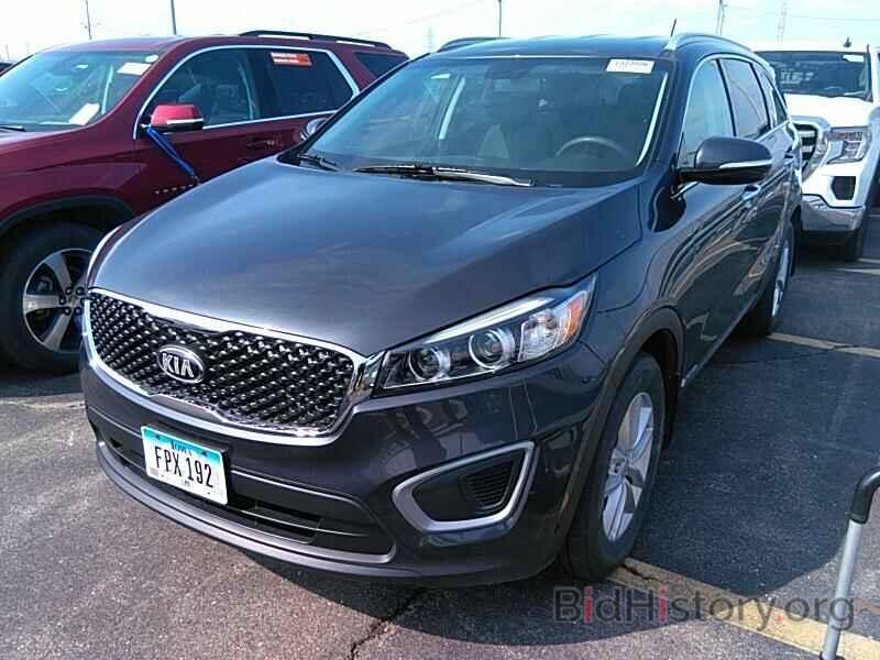 Photo 5XYPGDA52HG240779 - Kia Sorento 2017