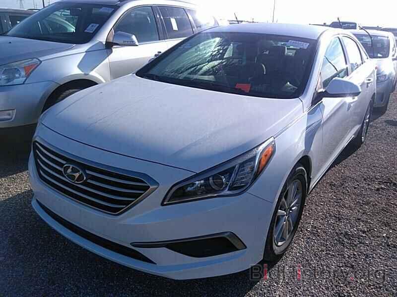 Photo 5NPE24AFXGH416922 - Hyundai Sonata 2016