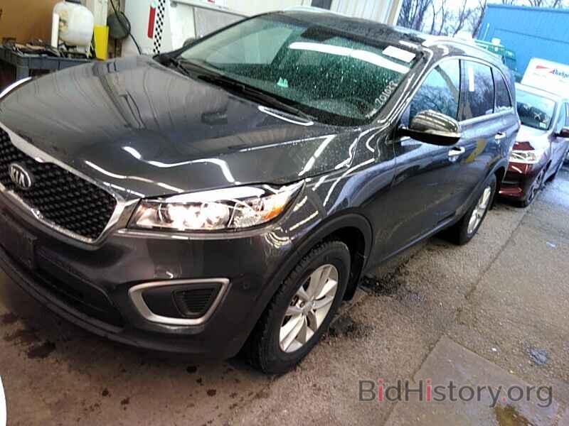 Фотография 5XYPG4A36HG201028 - Kia Sorento 2017