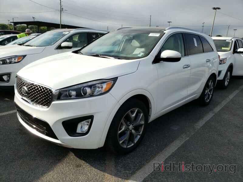 Photo 5XYPK4A58GG172064 - Kia Sorento 2016