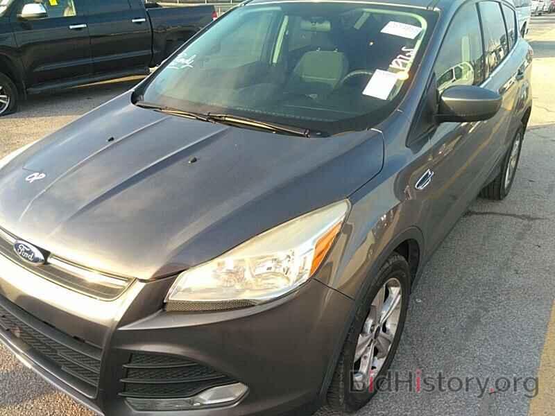 Photo 1FMCU0GX7EUA53827 - Ford Escape 2014